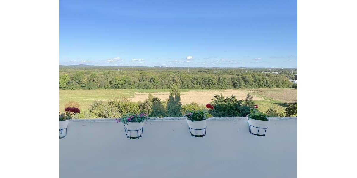 Wohnung zum Kaufen in Köln 146.200 € 64.93 m² 2 zimmer