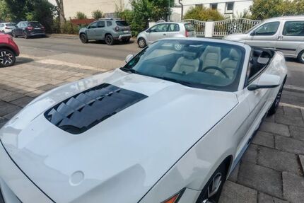 Ford Mustang 99.000 km 20.500 &euro; Kerpen 50171