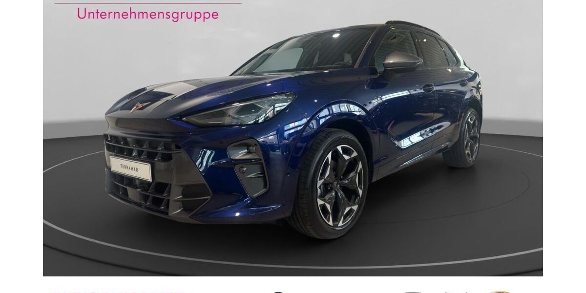 Cupra Terramar 8.000 km 38.470 &euro; Köln-Mülheim 51063