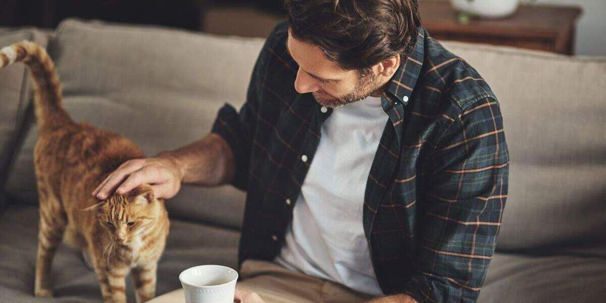 Einfamilienhaus Erftstadt Lechenich - 7 Zimmer, 177 m&sup2;, 528.649&euro; | Angebot:25358241