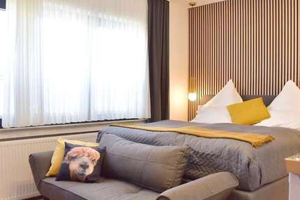 Zimmer Köln Heimersdorf - 1 Zimmer, 990&euro; | Angebot:27029991