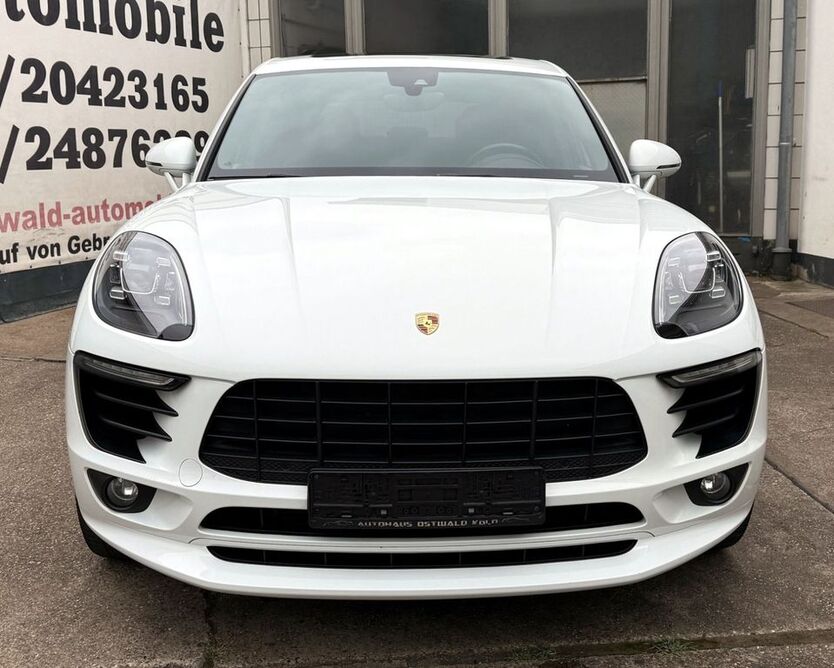 Macan