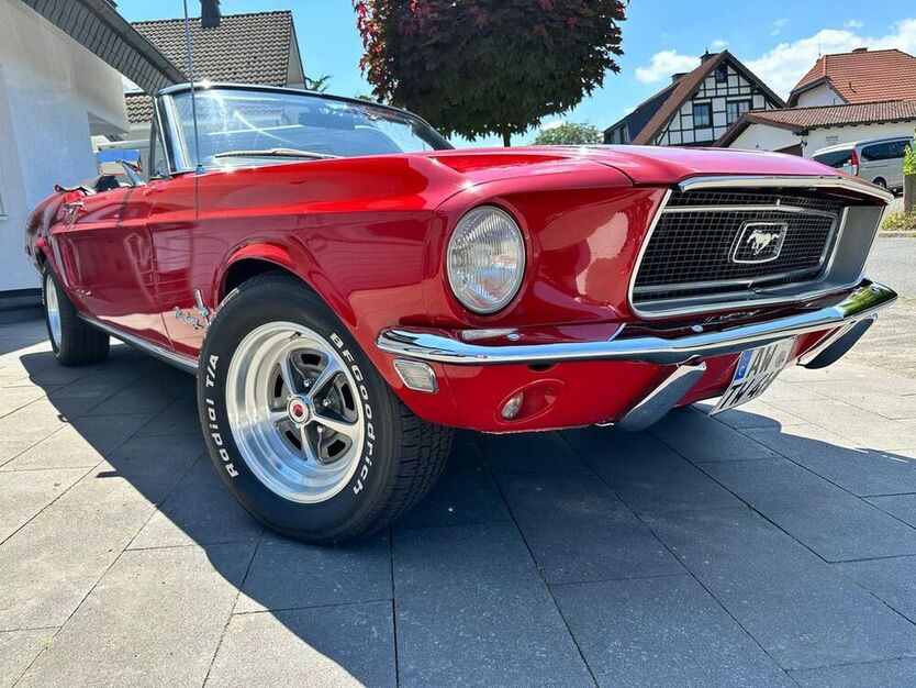 Mustang