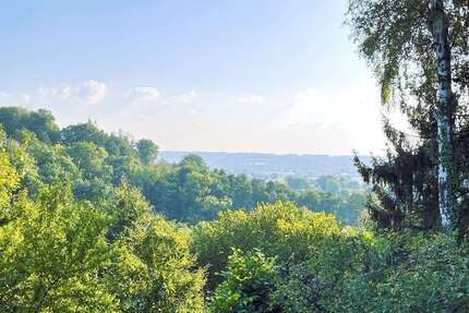 Grundstück zu verkaufen in Siegburg 249.000 € 786 m²