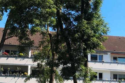 Wohnung Köln Lindenthal - 3 Zimmer, 94 m&sup2;, 595.000&euro; | Angebot:27157954