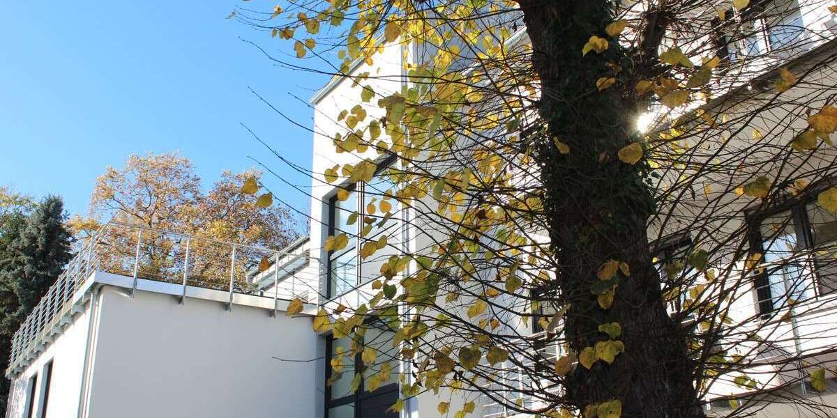 Wohnung zum Mieten in Bonn 1.500 € 95.2 m² 3 zimmer