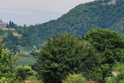 Aussichtsreich am Rodderberghang 1.698 m² Grundstück Bonn-Mehlem zimmer