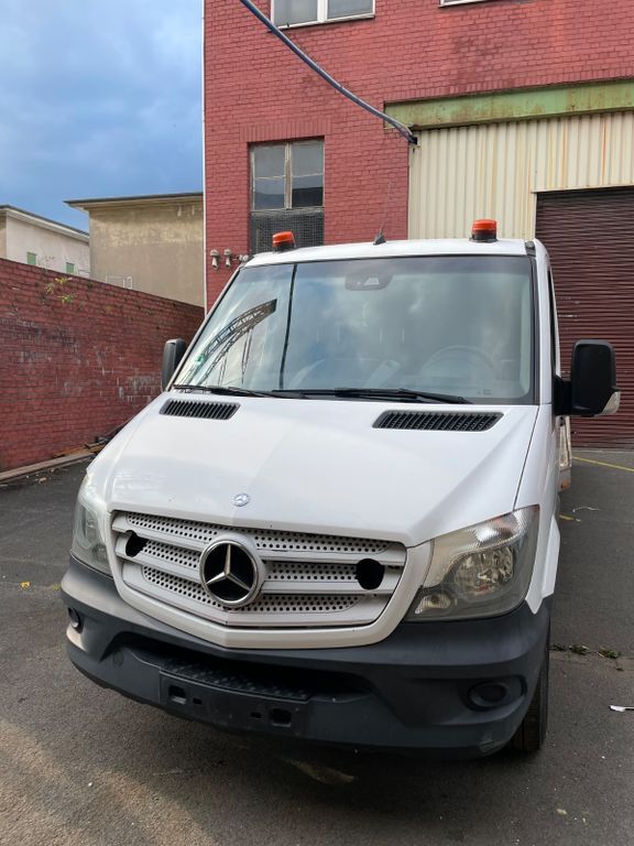 Sprinter
