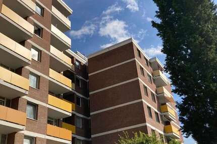 Wohnung Brühl Pingsdorf - 2 Zimmer, 64 m&sup2;, 368&euro; | Angebot:27341198
