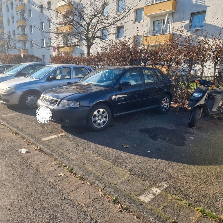 A3