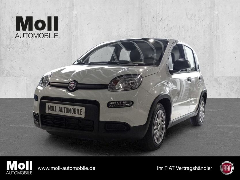 Fiat Panda 3.999 km 13.875 € Euskirchen 53879