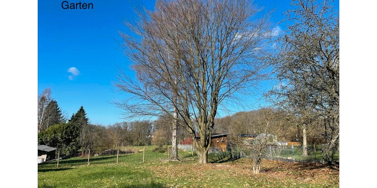 Bungalow Köln Ehrenfeld - 5 Zimmer, 180 m&sup2;, 1.600&euro; | Angebot:25371514