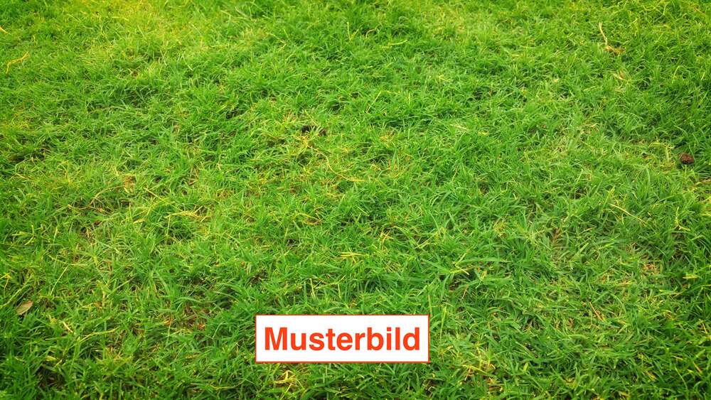 Grundstück Sankt Augustin - 305.000&euro; | Angebot:25268296