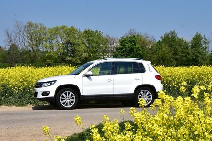 VW Tiguan 117.000 km 12.900 &euro; Wermelskirchen 42929