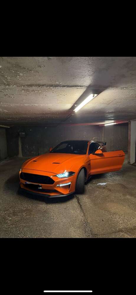 Mustang