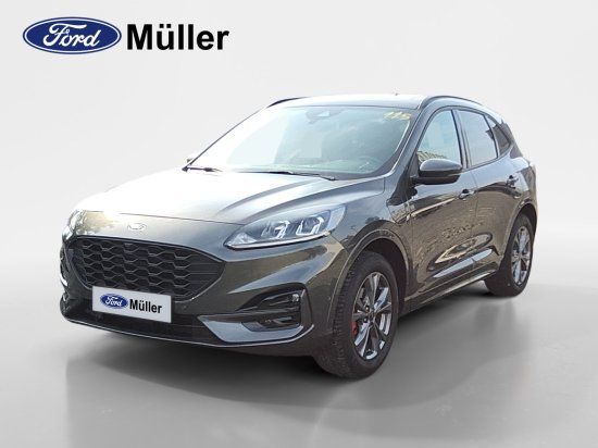 Kuga