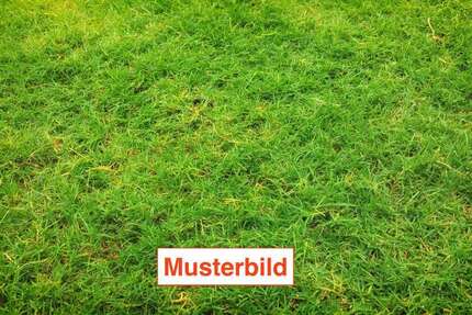 Grundstück zu verkaufen in Siegburg 375.000 € 775 m²