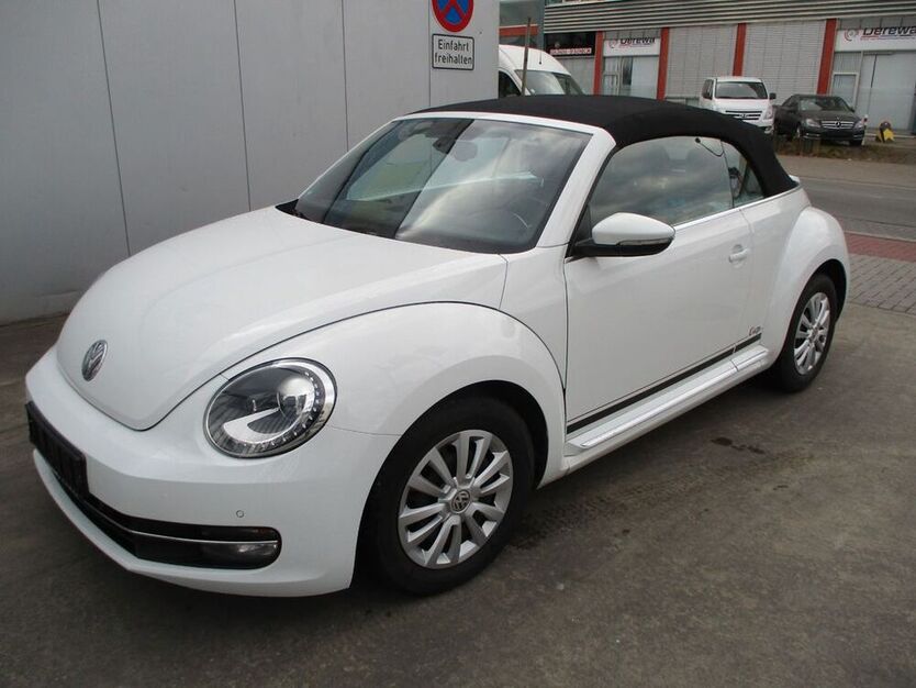 Beetle