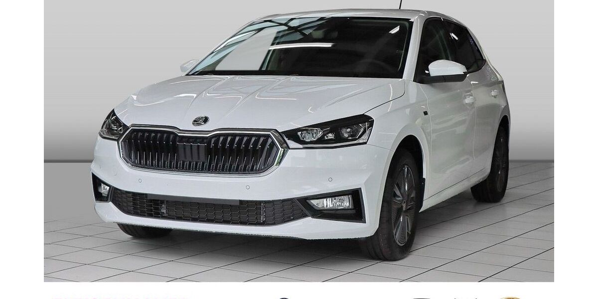 Skoda Fabia 3.000 km 22.880 &euro; Bonn 53119