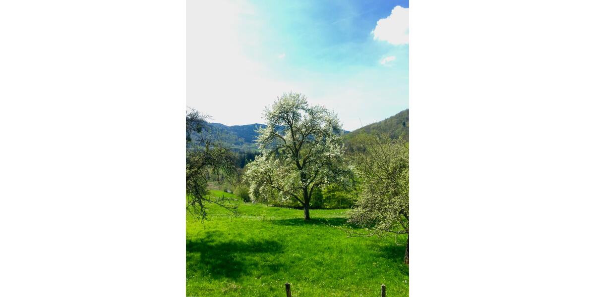 Bauernhaus, Landhaus Bonn Gronau - 5 Zimmer, 170 m&sup2;, 200.000&euro; | Angebot:26339817