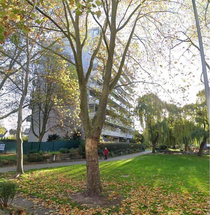 Wohnung zum Mieten in Kerpen 700 € 82.69 m²