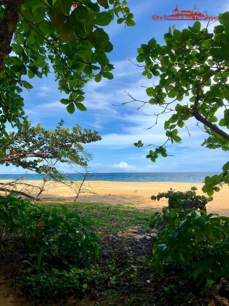 Grundstück in Costa Rica in einer der blauen Zonen der Erde zimmer