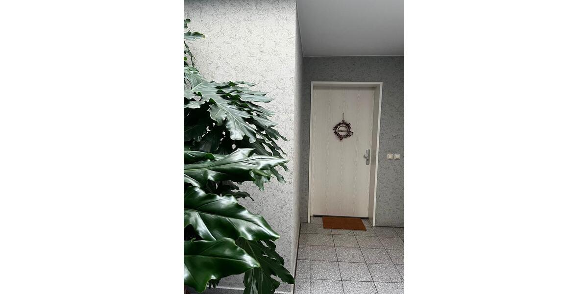 Einfamilienhaus Köln Lindenthal - 3 Zimmer, 85 m&sup2;, 1.850&euro; | Angebot:24497127