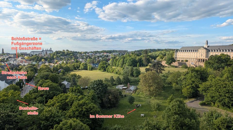 Etagenwohnung Bergisch Gladbach Alt-Frankenforst - 5 Zimmer, 130 m&sup2;, 245.000&euro; | Angebot:25902615