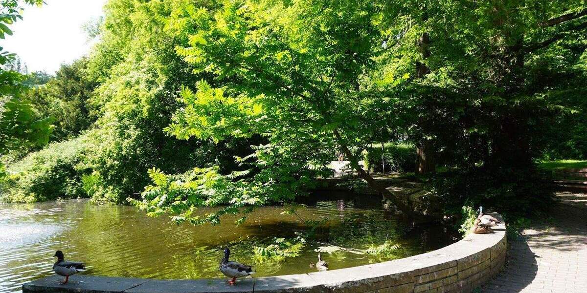 NEUES Bad* NEUER Boden* NEUES Wohngefühl* NEUE Einbauküche* 3 Zimmer + Balkon, Gäste-WC, Aufzug 3 zimmer