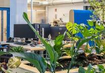 Wir suchen nachhaltig arbeitende Unternehmen - All-in-Miete