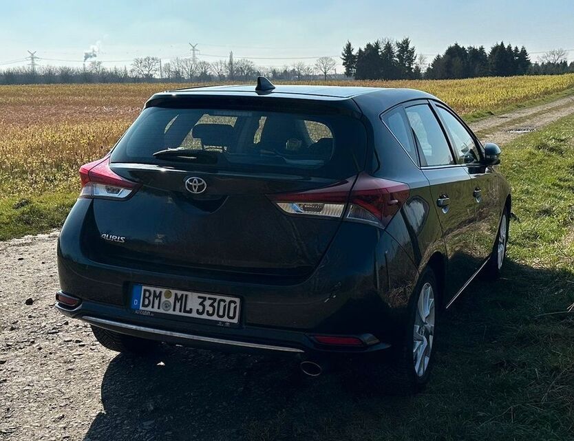 Auris