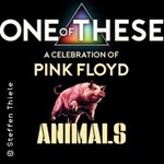 One Of These – A celebration of Pink Floyd / Animals Tour