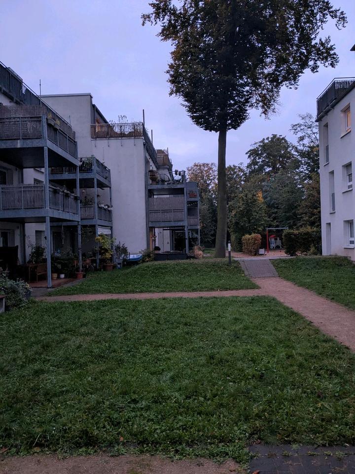 Wohnung in Nippes (Bf) zu vermieten zimmer