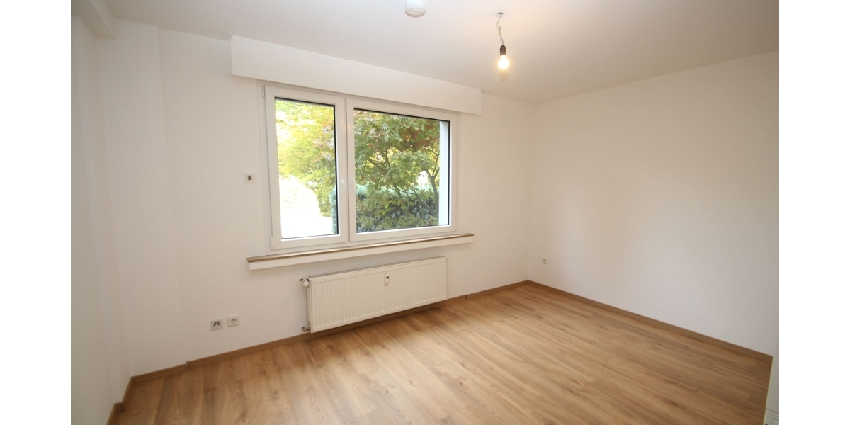 Mit 3D: Fachwerk trifft Moderne: Wohnensemble mit Charakter und solider Substanz - Mehrgenerationen oder Kapitalanlage 11 zimmer