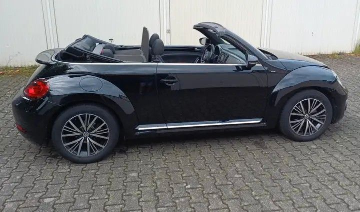 Beetle