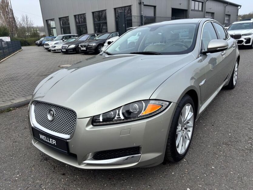XF