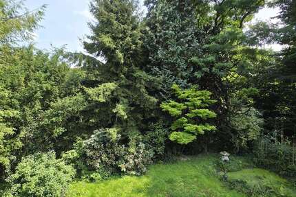 Wohnung zum Kaufen in Burscheid 338.000 € 128 m² 3 zimmer