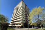 Etagenwohnung Dormagen Hackenbroich - 1 Zimmer, 36 m&sup2;, 396&euro; | Angebot:26097595