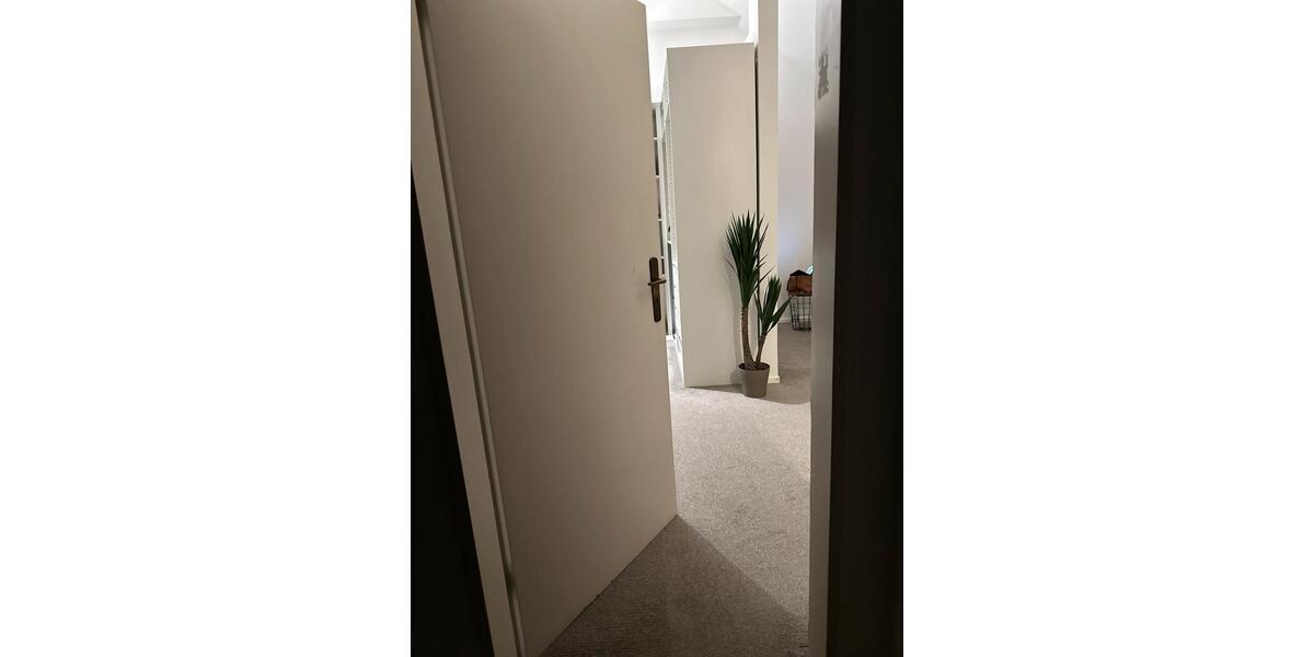 Dachgeschoßwohnung Bergheim - 3.5 Zimmer, 75 m&sup2;, 1.000&euro; | Angebot:26153577