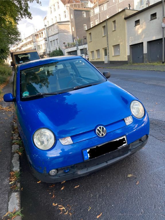 Lupo