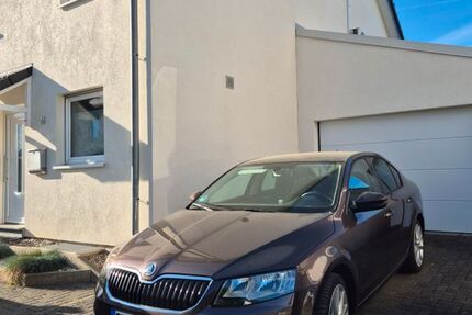 Skoda Octavia 96.000 km 8.300 &euro; Troisdorf 53840