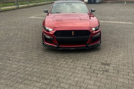 Ford Mustang 26.000 km 33.500 &euro; Bergheim 50127