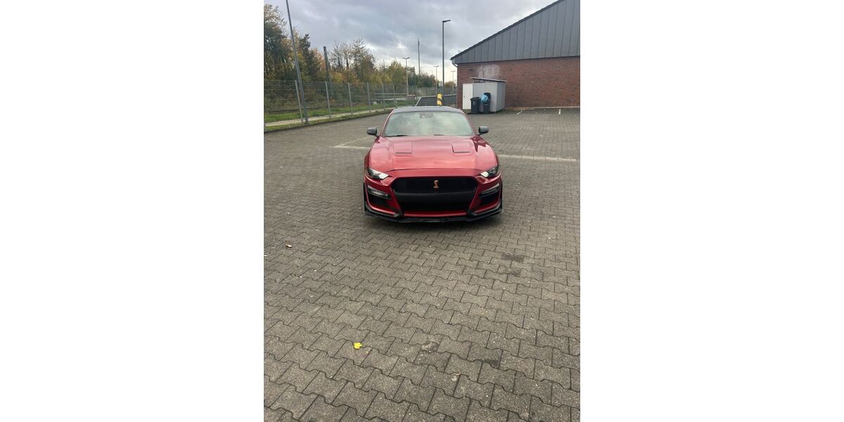 Ford Mustang 26.000 km 33.500 &euro; Bergheim 50127