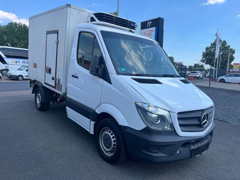 Sprinter
