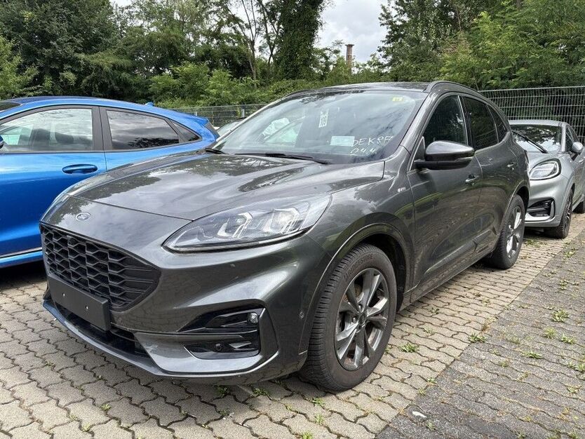Kuga