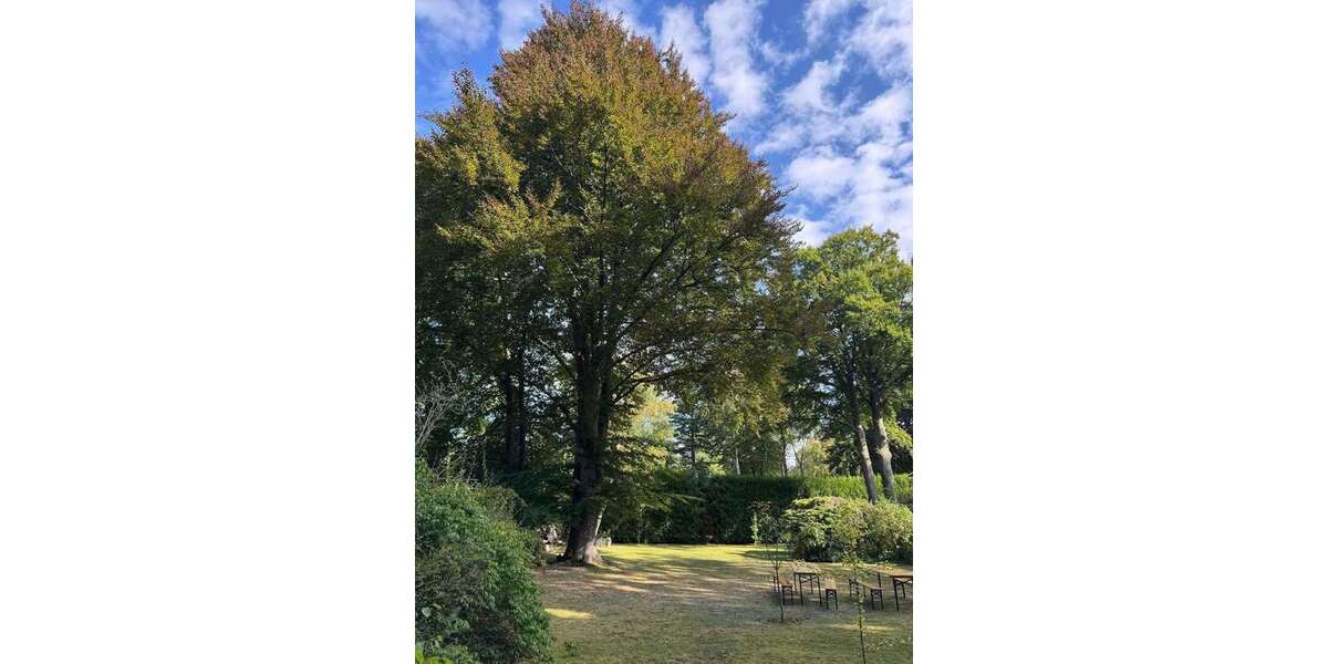 Grundstück Köln Rodenkirchen - 1.950.000&euro; | Angebot:23808261