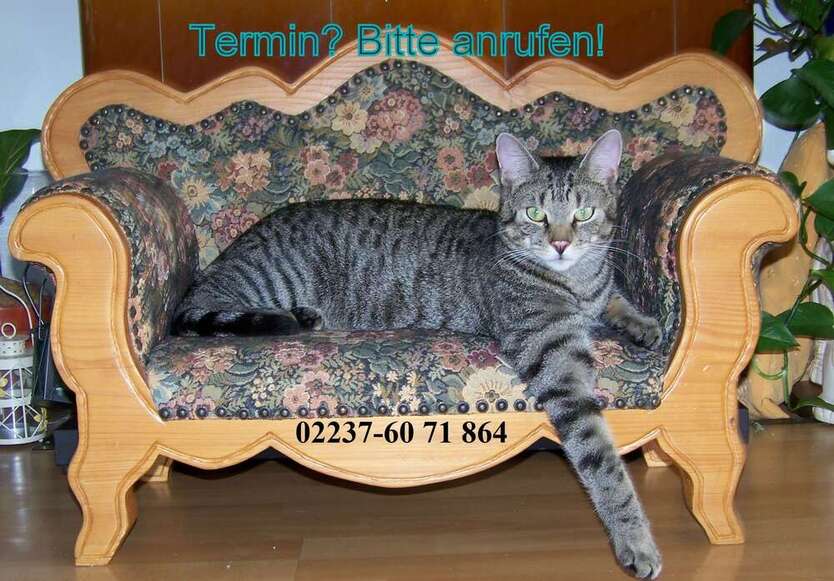 Grundstück zu verkaufen in Kerpen 217.000 € 522 m² zimmer