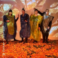 Bookpink ein dramatisches Kompendium - Schräge Vögel - wilde Zeiten v. Caren Jeß 29.01.2026 Theater Tiefrot