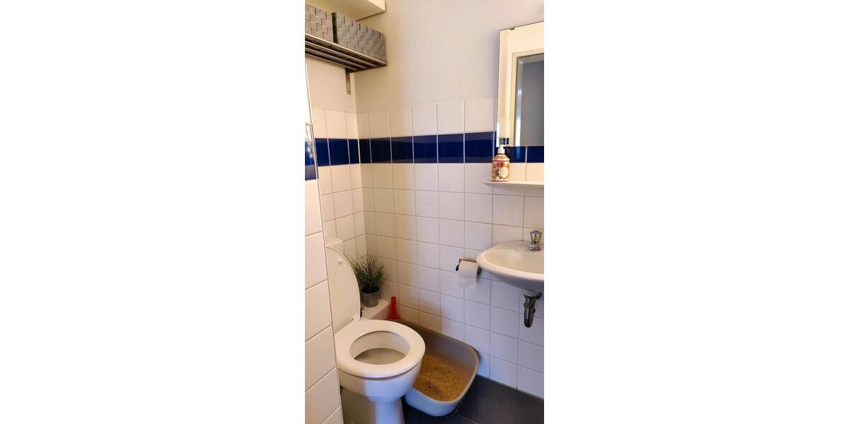 Befristete Untermiete - möblierte Wohnung - inkl. 2 Katzen 3 zimmer