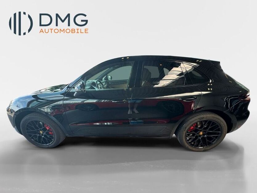 Macan